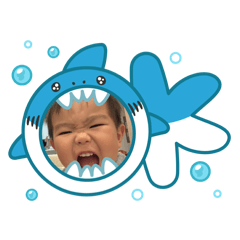 shoron_20260810202903