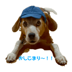 NIKA NIKA_20260811003230