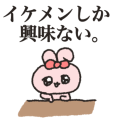 mikata's pink Rabbit5