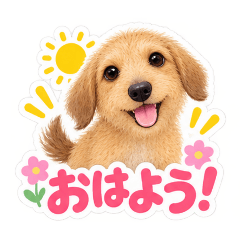 Chris_20260809163723