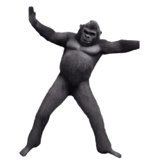 Dancing! Yarirafi Dance Gorilla