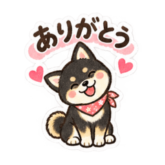 Nan_20260810145121
