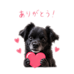 24 Little Ways to Say It kuu