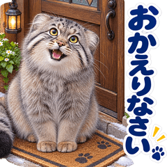For Pallas Cat Lovers