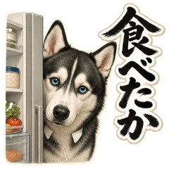 イケメンすぎるハスキー先輩8 生活編