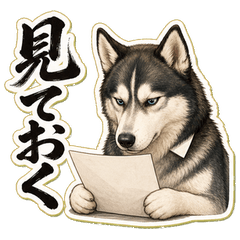 イケメンすぎるハスキー先輩9 予定調整編