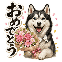 イケメンすぎるハスキー先輩10 お祝い編