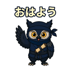 Hanzo the Ninja Owl: Daily Replies