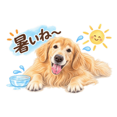 SmilingGolden