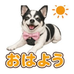 Sato_20260811021223