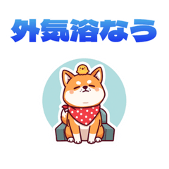Shiba Inu Sauna Life Vol.2