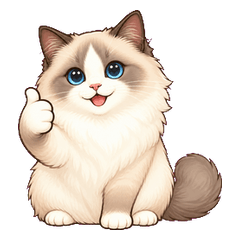 Cute Cat for Work & Daily Life ragdoll