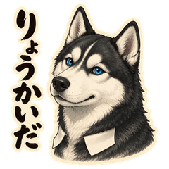 Husky Senpai 11: Replies & Reactions