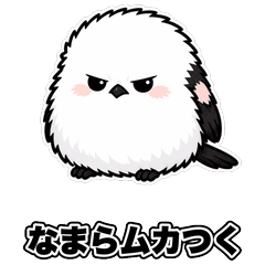 Angry Shimaenaga: Hokkaido Dialect