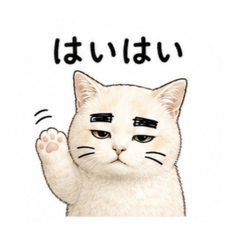 kitsusa4_20260810202034