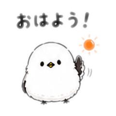 hayato_20260810200941