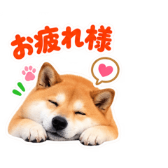 Shiba Inu Stickers yuzu