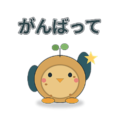 Takkun Visuals_20260810201152