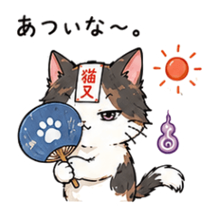 Bochi Bochi Cat: summer