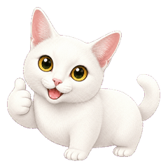 Cute Cat for Work & Daily Life