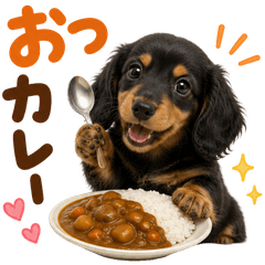 20260809dog@2