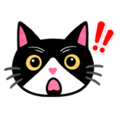 nico_20260810230807