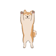 편안한