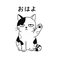 Sleepy-Eyed Patchy Cat