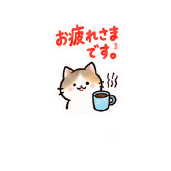 mai_20260811000306