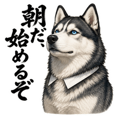 Husky Senpai 18: Steady Decisions