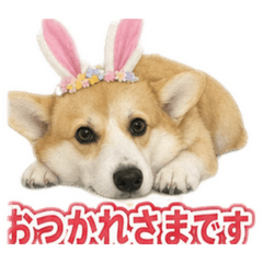 YUKI_20260811003452