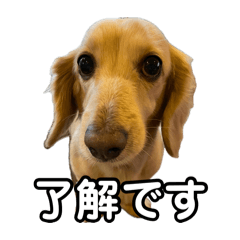 yu_20260811005311