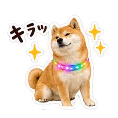 miochi_20260811011630