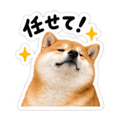 miochi_20260811012635