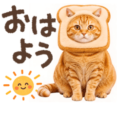動く♪猫のつめあわせ【リアル猫】