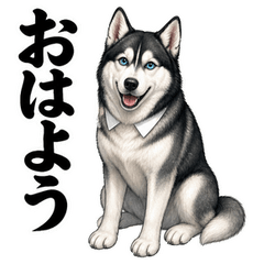 イケメンすぎるハスキー先輩25 返信