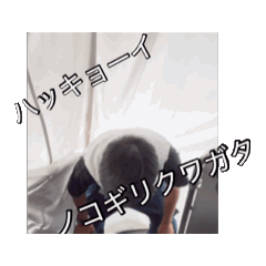 michael_20260810154244
