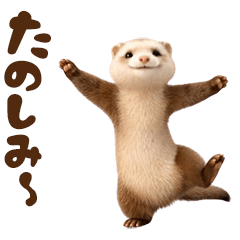 Wiggly Ferret