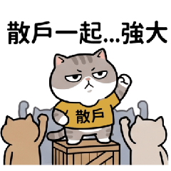 A CAT-JIN 02