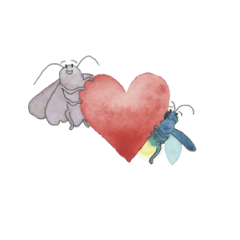 Firefly & Moth
