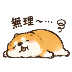napo_20260811101105