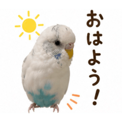 Akira_20260811101250