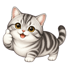 Cute Cat for Work & Daily Life chorthair
