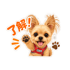 Rocky the Cute Dog