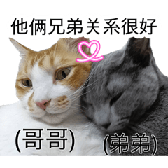 ruiruichan_20260809153814