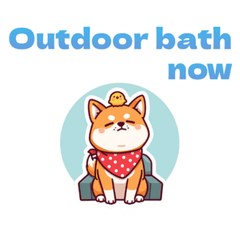 Ultimate Sauna Life Shiba Inu Reacts 3