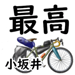 Kozakai'having fun bike (2)