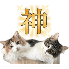 mikkun_20260811135214