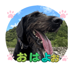tissuemama_20260811134333