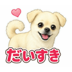 Yuji Gokan_20260811103015